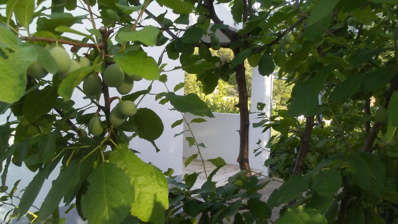 Kuca Za Odmor Maka Villa Kučiće Eksteriør bilde