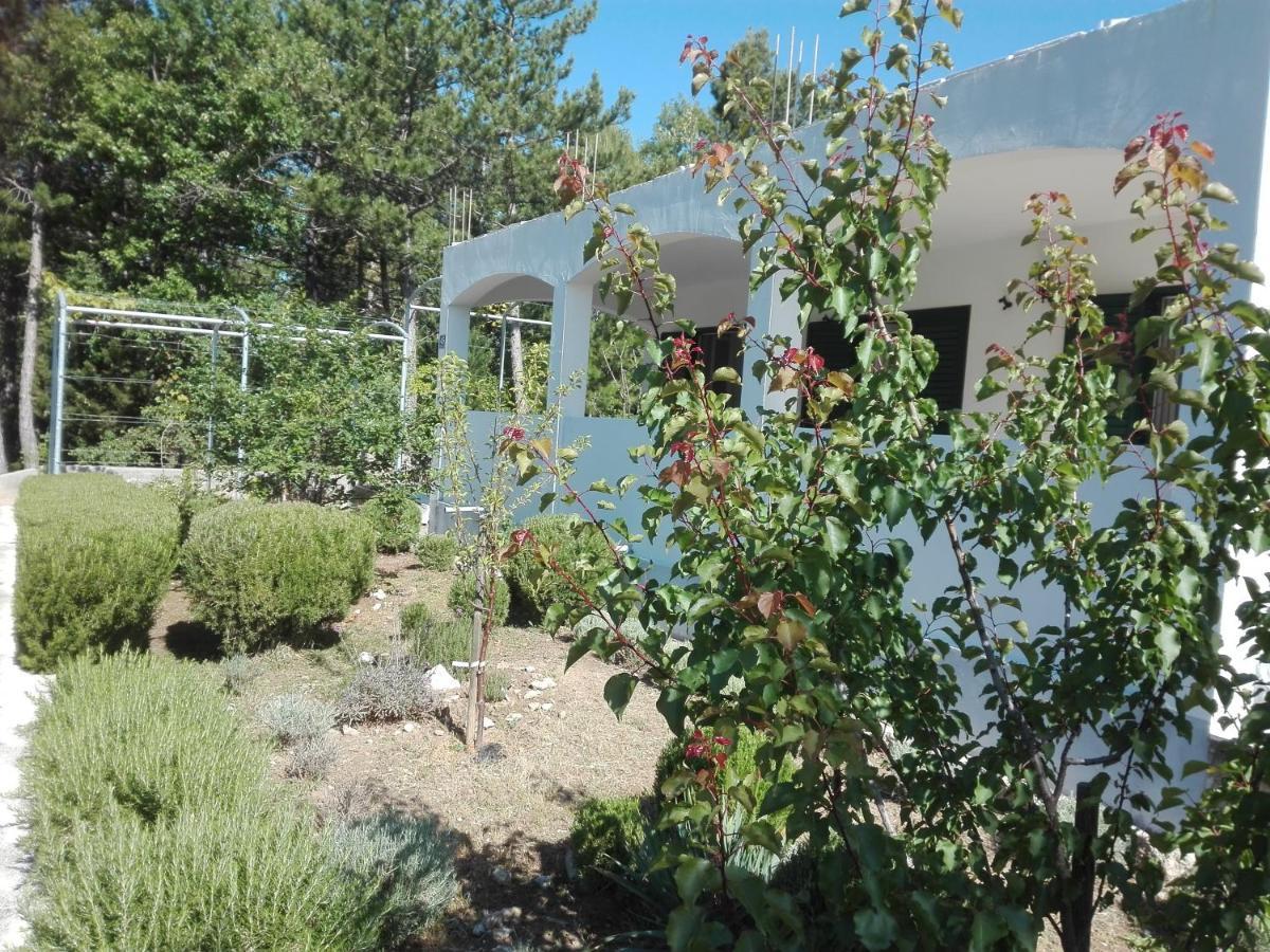 Kuca Za Odmor Maka Villa Kučiće Eksteriør bilde