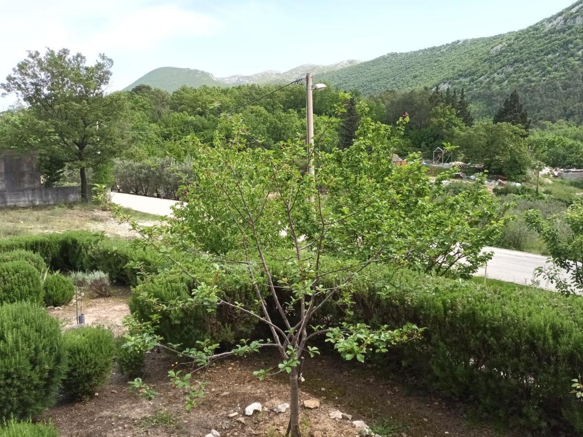 Kuca Za Odmor Maka Villa Kučiće Eksteriør bilde
